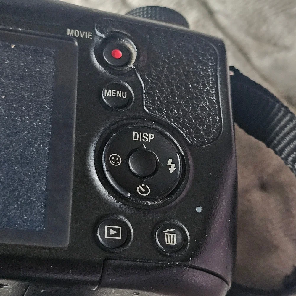 Sony Cyber-shot DSC-H300 Digital Camera 20.1MP 35x Optical Zoom Black